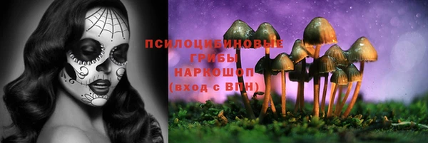 apvp Алексеевка