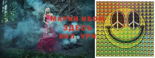 PSILOCYBIN Алзамай