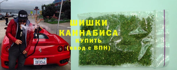 PSILOCYBIN Алзамай
