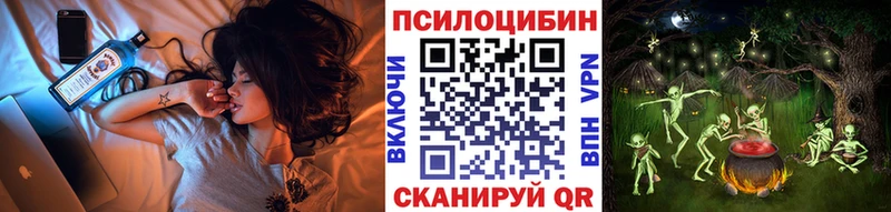 Галлюциногенные грибы Psilocybe  Осташков 